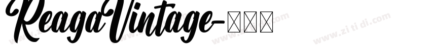 ReagaVintage字体转换