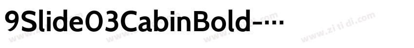 9Slide03CabinBold字体转换