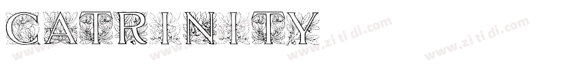 Catrinity字体转换