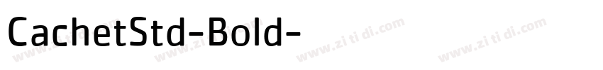 CachetStd-Bold字体转换