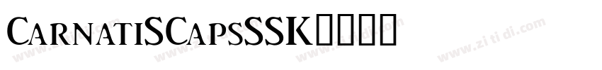 CarnatiSCapsSSK字体转换