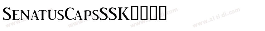 SenatusCapsSSK字体转换