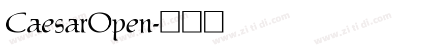 CaesarOpen字体转换