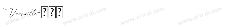 Versaille字体转换