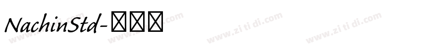 NachinStd字体转换