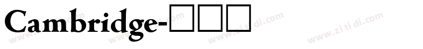Cambridge字体转换