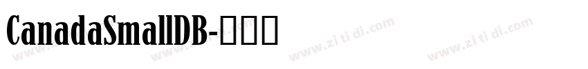 CanadaSmallDB字体转换