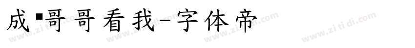 成训哥哥看我字体转换