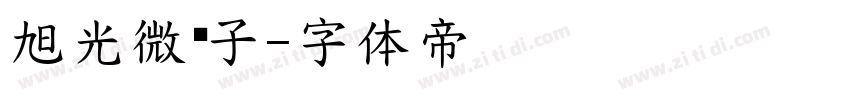 旭光微电子字体转换