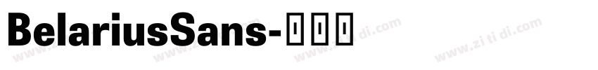 BelariusSans字体转换