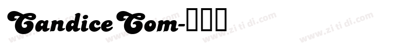 CandiceCom字体转换