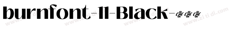 burnfont-11-Black字体转换