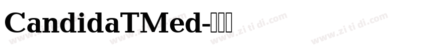 CandidaTMed字体转换