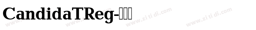 CandidaTReg字体转换
