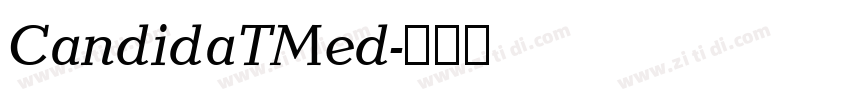 CandidaTMed字体转换