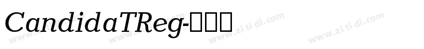 CandidaTReg字体转换