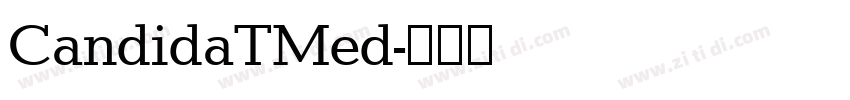 CandidaTMed字体转换