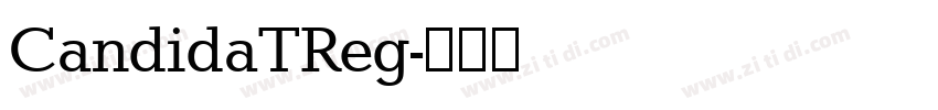 CandidaTReg字体转换
