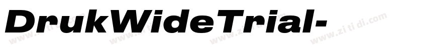 DrukWideTrial字体转换