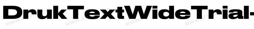 DrukTextWideTrial字体转换