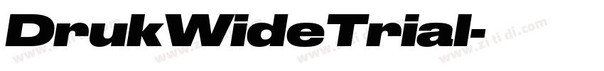 DrukWideTrial字体转换
