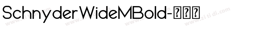 SchnyderWideMBold字体转换