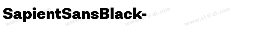 SapientSansBlack字体转换