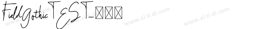 FieldGothicTEST字体转换