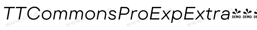 TTCommonsProExpExtra字体转换