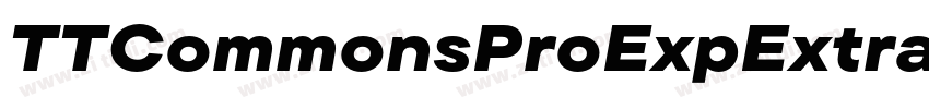 TTCommonsProExpExtra字体转换