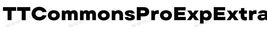 TTCommonsProExpExtra字体转换