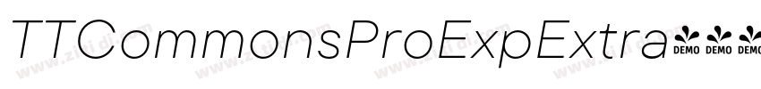 TTCommonsProExpExtra字体转换
