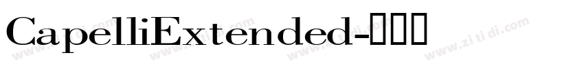 CapelliExtended字体转换