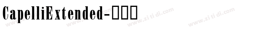 CapelliExtended字体转换