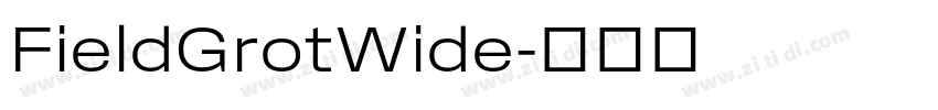 FieldGrotWide字体转换