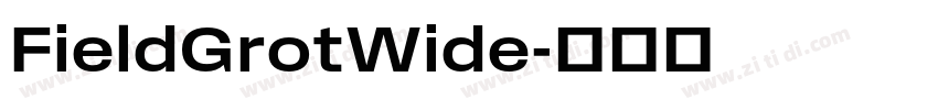 FieldGrotWide字体转换