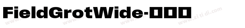 FieldGrotWide字体转换