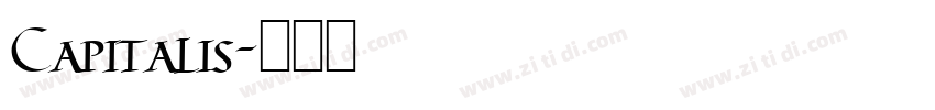 Capitalis字体转换