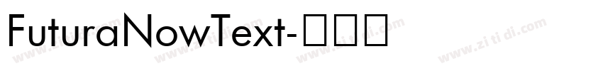 FuturaNowText字体转换