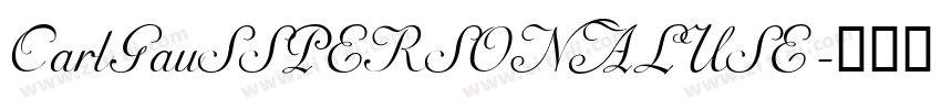 CarlGauSSPERSONALUSE字体转换