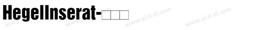 HegelInserat字体转换