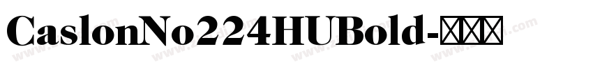 CaslonNo224HUBold字体转换