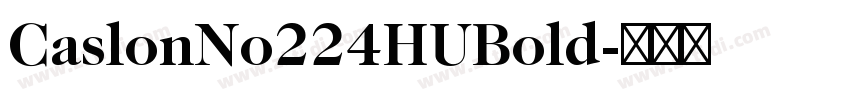 CaslonNo224HUBold字体转换