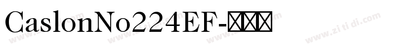 CaslonNo224EF字体转换