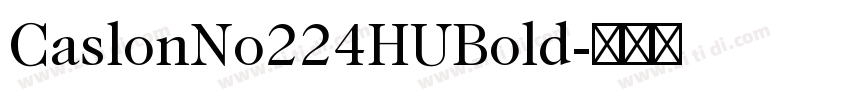 CaslonNo224HUBold字体转换