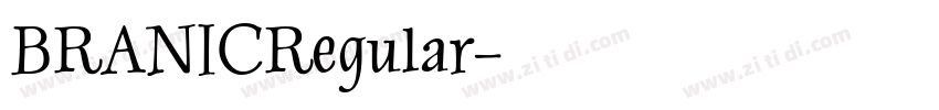 BRANICRegular字体转换