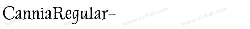 CanniaRegular字体转换