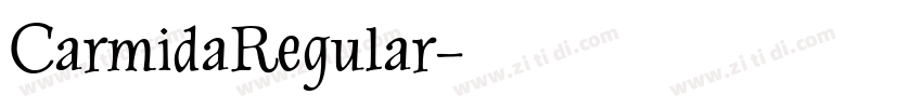 CarmidaRegular字体转换