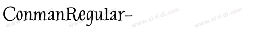 ConmanRegular字体转换