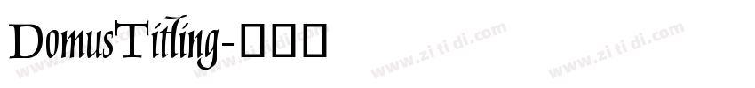 DomusTitling字体转换